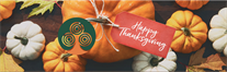 Happy Thanksgiving!